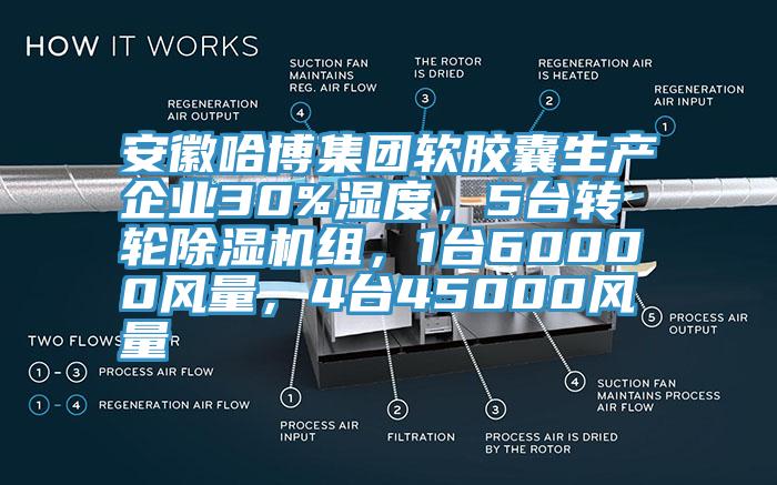 安徽哈博集團(tuán)軟膠囊生產(chǎn)企業(yè)30%濕度，5臺(tái)轉(zhuǎn)輪除濕機(jī)組，1臺(tái)60000風(fēng)量，4臺(tái)45000風(fēng)量