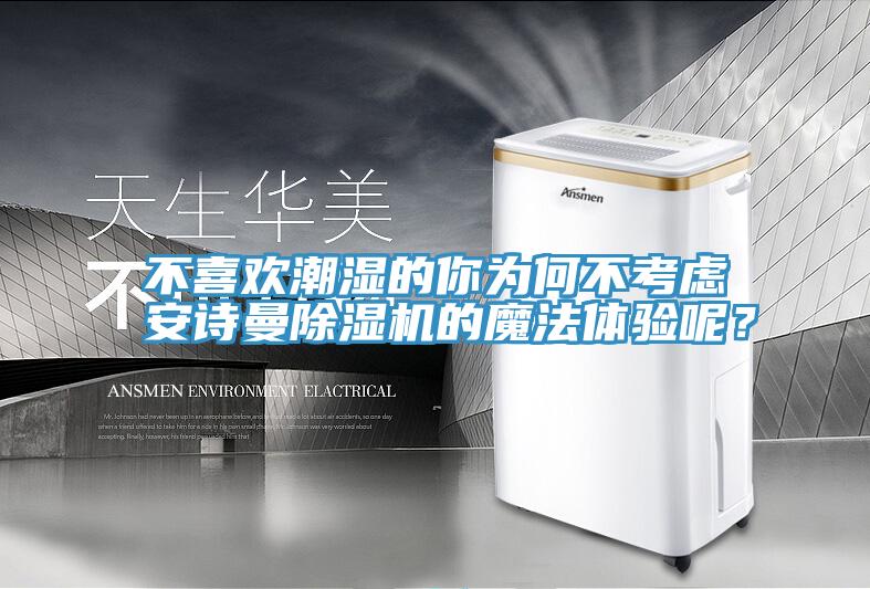 不喜歡潮濕的你為何不考慮安詩曼除濕機的魔法體驗呢？