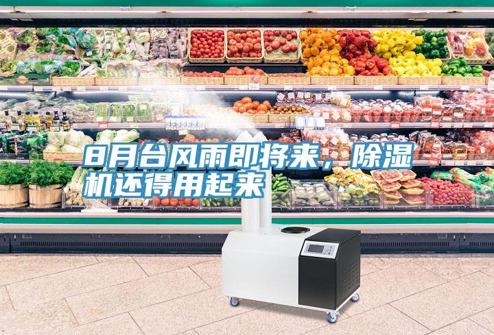 8月臺風雨即將來,除濕機還得用起來