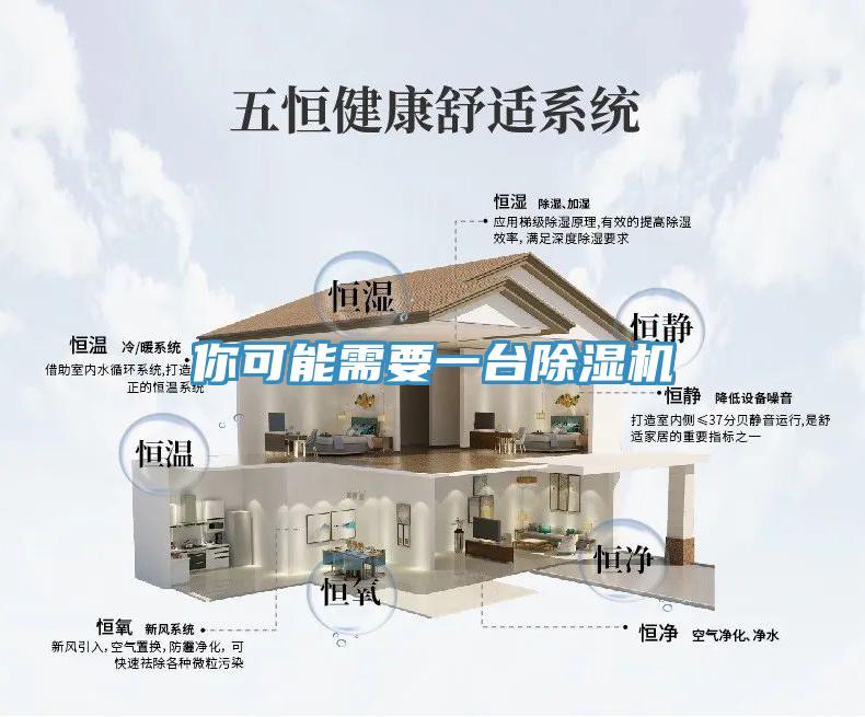 你可能需要一臺除濕機(jī)