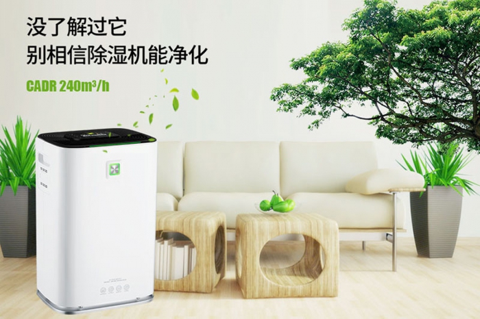 一到回南天狗狗就感冒+皮膚病，怎么辦？