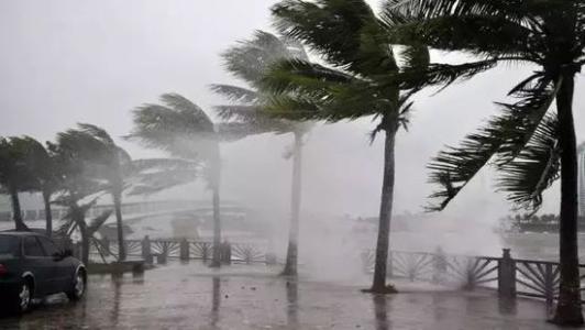 8月臺風雨即將來，除濕機還得用起來
