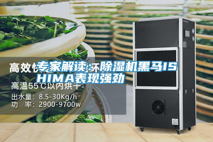 專家解讀：除濕機黑馬ISHIMA表現強勁