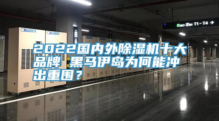 2022國內(nèi)外除濕機(jī)十大品牌 黑馬伊島為何能沖出重圍？