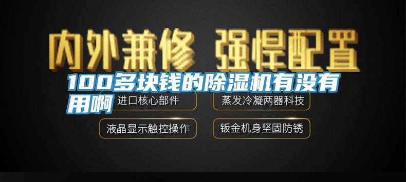100多塊錢(qián)的除濕機(jī)有沒(méi)有用啊