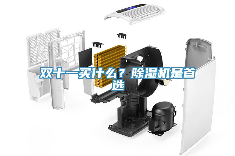 雙十一買什么？除濕機是首選