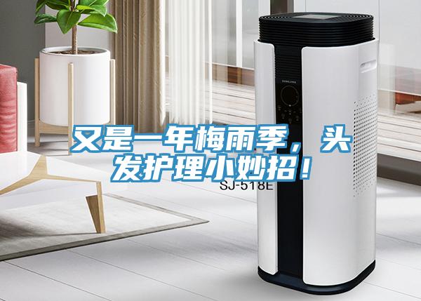 又是一年梅雨季，頭發護理小妙招！