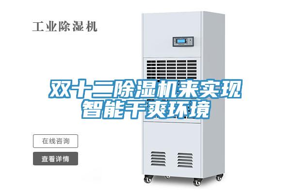雙十二除濕機來實現智能干爽環境