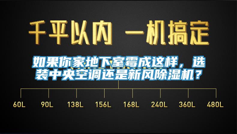 如果你家地下室霉成這樣，選裝中央空調(diào)還是新風(fēng)除濕機(jī)？