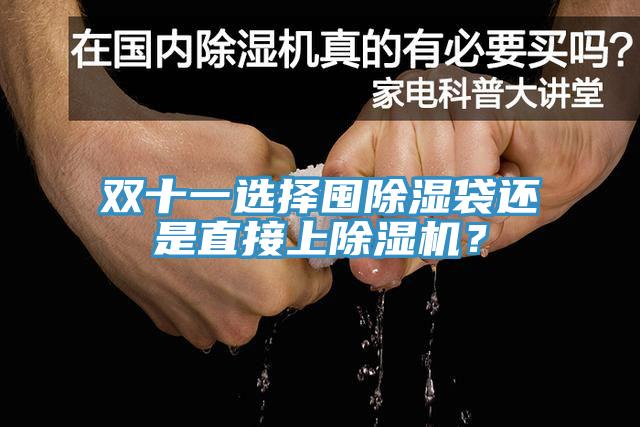 雙十一選擇囤除濕袋還是直接上除濕機？