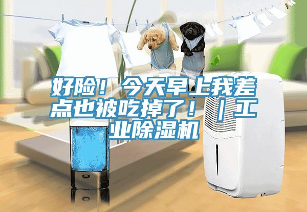 好險(xiǎn)！今天早上我差點(diǎn)也被吃掉了?。I(yè)除濕機(jī)
