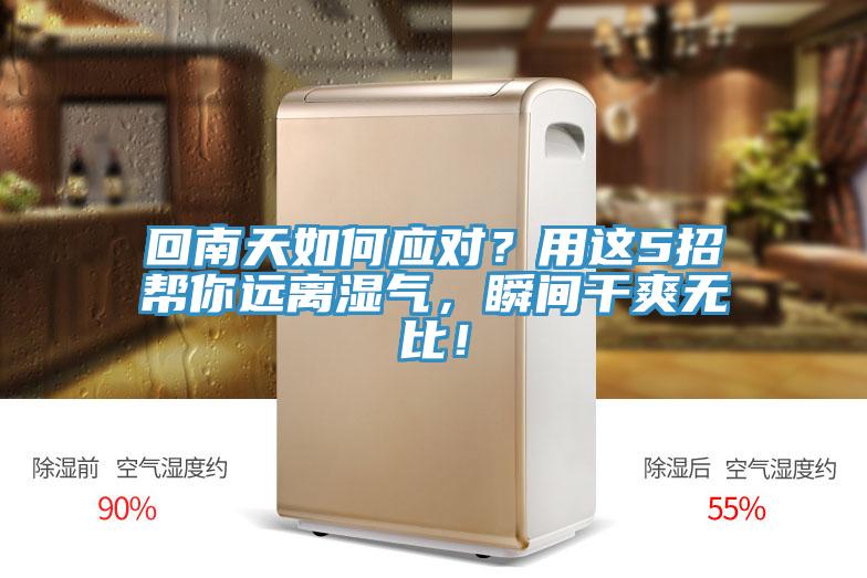 回南天如何應對?用這5招幫你遠離濕氣,瞬間干爽無比!