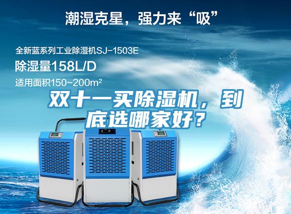 雙十一買除濕機，到底選哪家好？