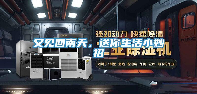 又見回南天，送你生活小妙招