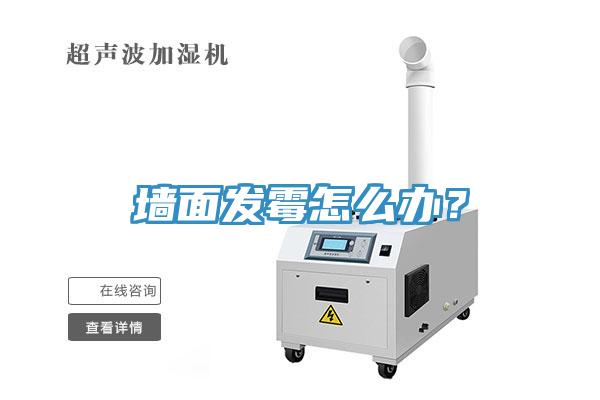 墻面發霉怎么辦？