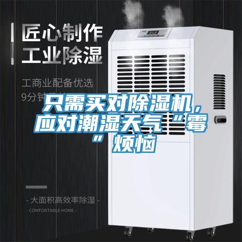 只需買對除濕機，應對潮濕天氣“霉”煩惱