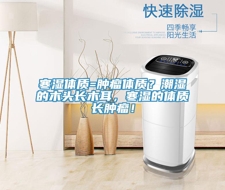 寒濕體質=腫瘤體質？潮濕的木頭長木耳，寒濕的體質長腫瘤！