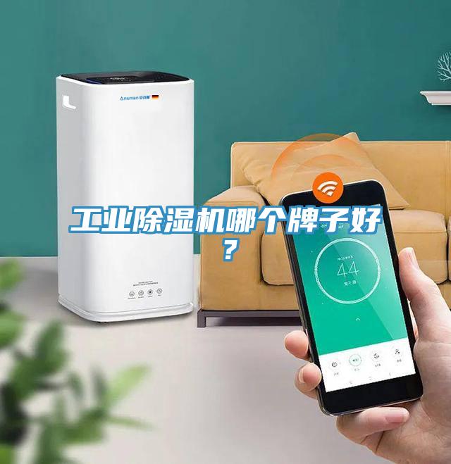 工業除濕機哪個牌子好？