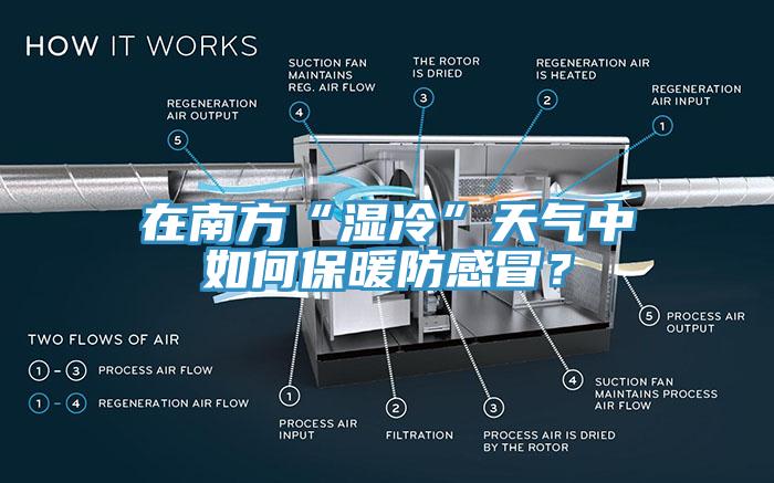 在南方“濕冷”天氣中如何保暖防感冒？