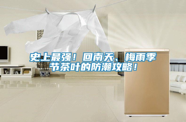 史上最強!回南天、梅雨季節茶葉的防潮攻略!