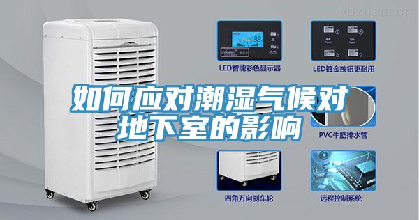 如何應對潮濕氣候對地下室的影響