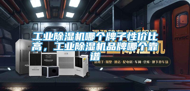 工業(yè)除濕機(jī)哪個(gè)牌子性價(jià)比高,工業(yè)除濕機(jī)品牌哪個(gè)靠譜