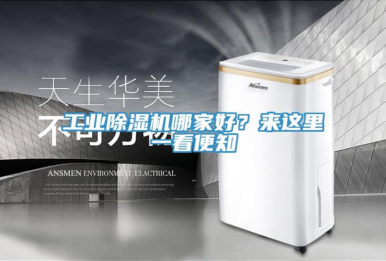 工業(yè)除濕機(jī)哪家好?來(lái)這里一看便知