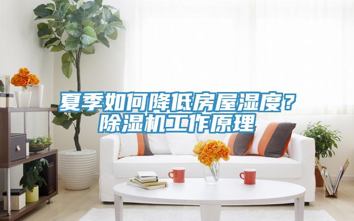 夏季如何降低房屋濕度？除濕機工作原理