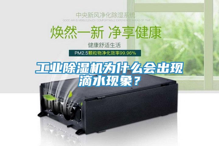 工業除濕機為什么會出現滴水現象？