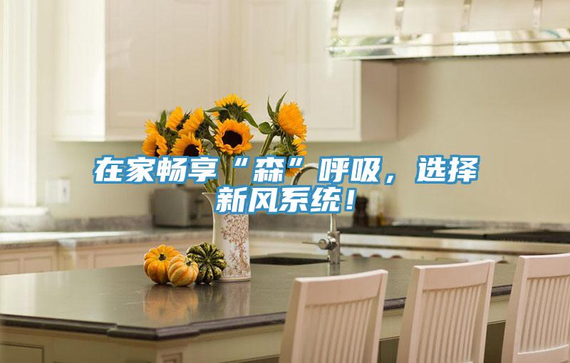 在家暢享“森”呼吸，選擇新風(fēng)系統(tǒng)！