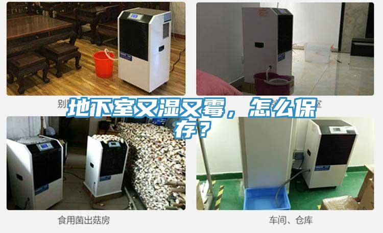 地下室又濕又霉，怎么保存？