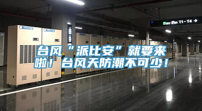 臺(tái)風(fēng)“派比安”就要來啦！臺(tái)風(fēng)天防潮不可少！