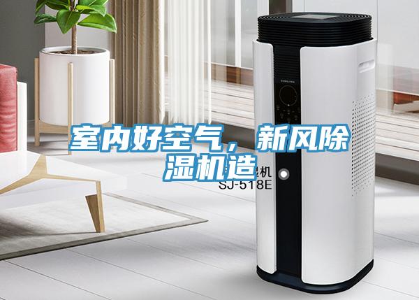 室內(nèi)好空氣，新風(fēng)除濕機(jī)造