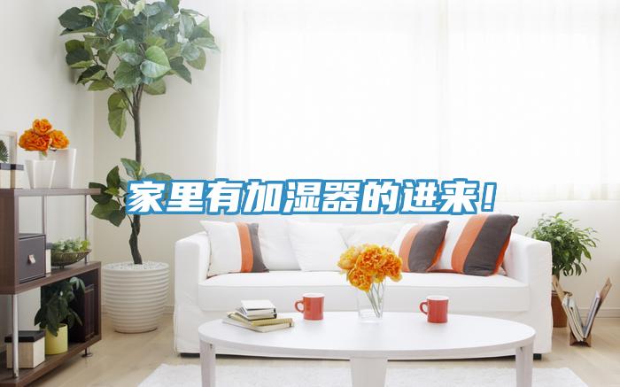 家里有加濕器的進來！
