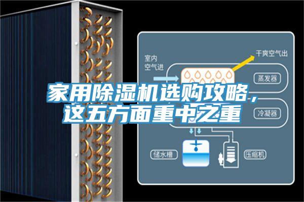家用除濕機選購攻略，這五方面重中之重