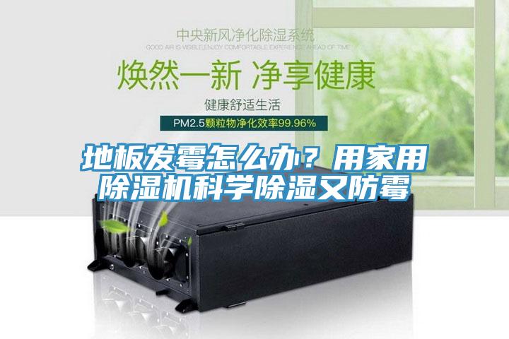 地板發霉怎么辦？用家用除濕機科學除濕又防霉