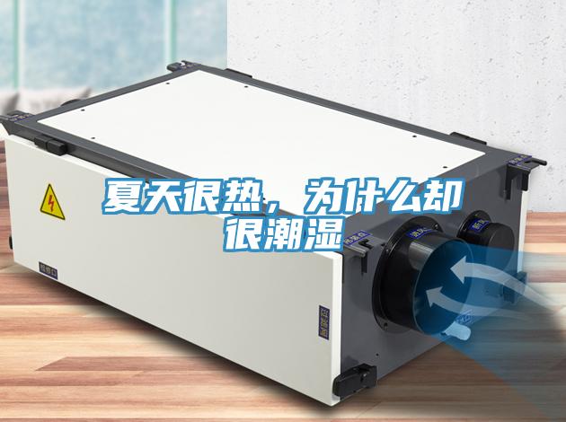 夏天很熱，為什么卻很潮濕