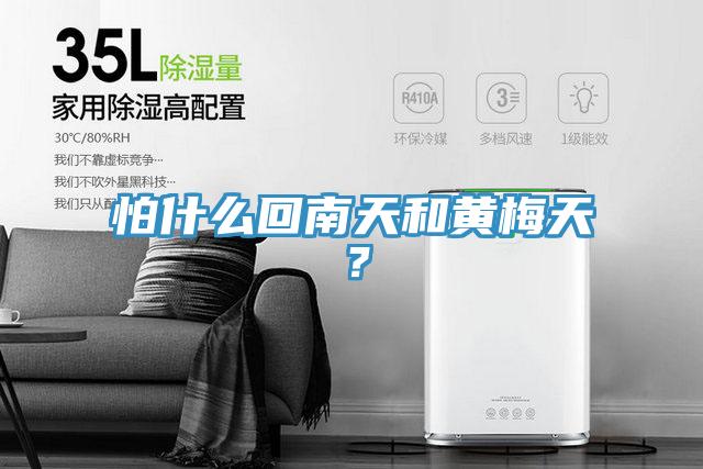 怕什么回南天和黃梅天？