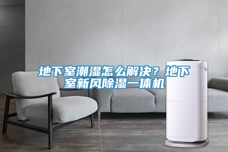 地下室潮濕怎么解決？地下室新風(fēng)除濕一體機(jī)