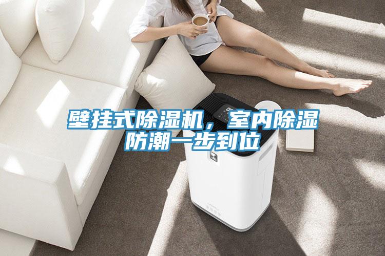 壁掛式除濕機，室內除濕防潮一步到位