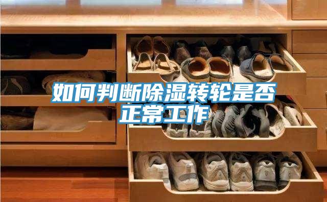 如何判斷除濕轉輪是否正常工作