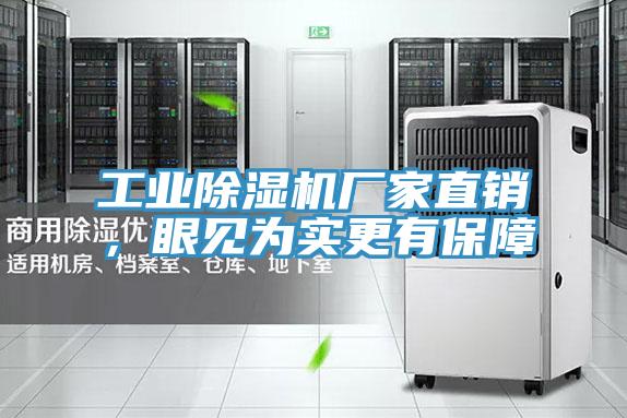 工業(yè)除濕機廠家直銷，眼見為實更有保障