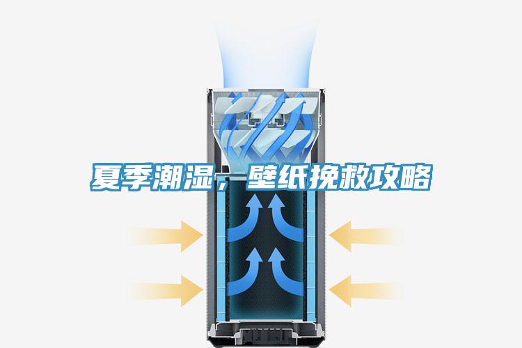 夏季潮濕，壁紙挽救攻略