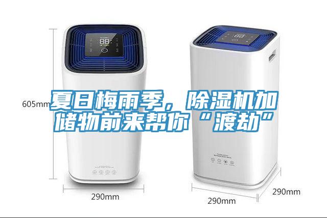 夏日梅雨季,除濕機加儲物前來幫你“渡劫”