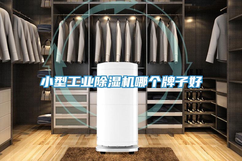 小型工業除濕機哪個牌子好