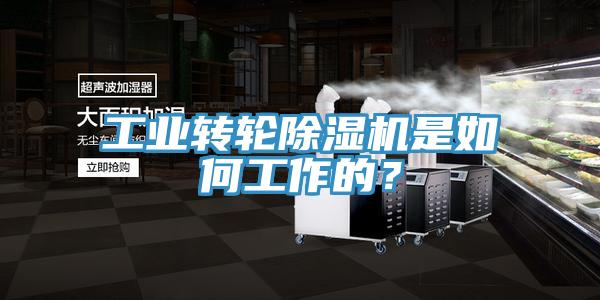 工業(yè)轉(zhuǎn)輪除濕機(jī)是如何工作的？