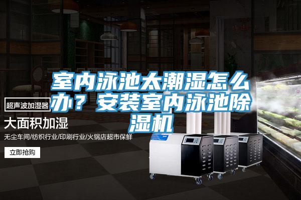 室內泳池太潮濕怎么辦？安裝室內泳池除濕機