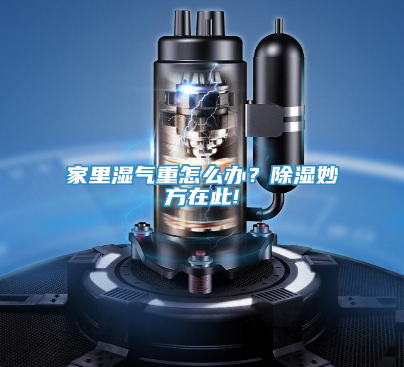 家里濕氣重怎么辦？除濕妙方在此!