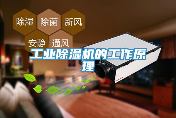 工業除濕機的工作原理