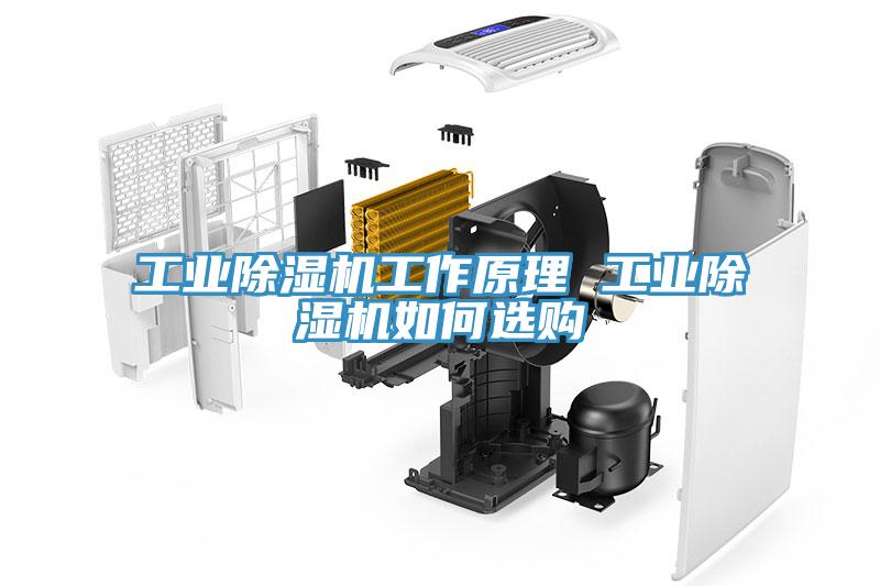 工業除濕機工作原理 工業除濕機如何選購